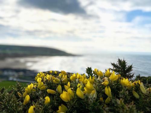 Cowslip Cottage