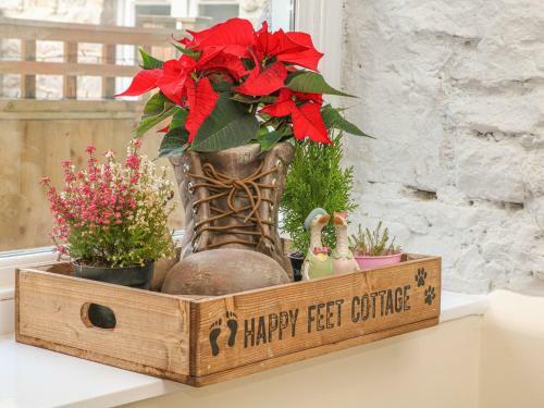 Happy Feet Cottage