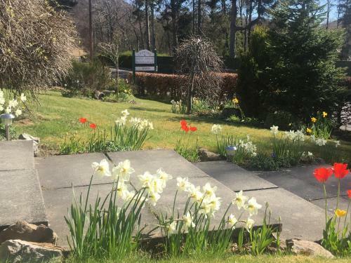 Bed & Breakfast Cranford Guest House
