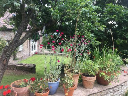 Beautiful 6-bed Home In Brecon