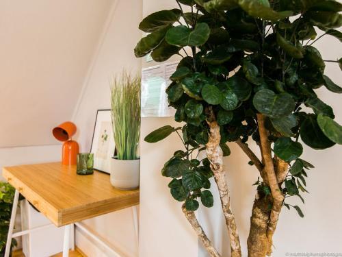 Exquisite 3bdr Botanical Oasis In Central Brighton