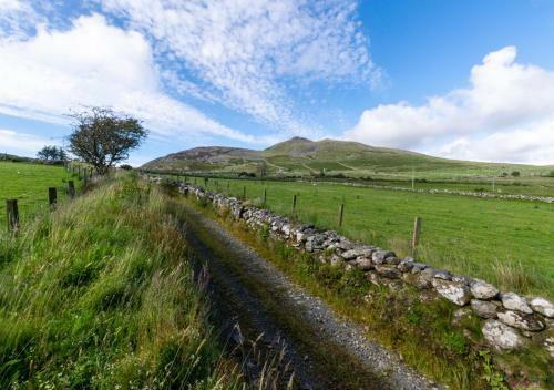 Maes Y Llan