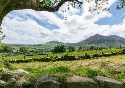Maes Y Llan