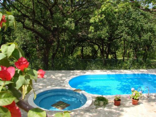 Apartments Miljan I Ranko