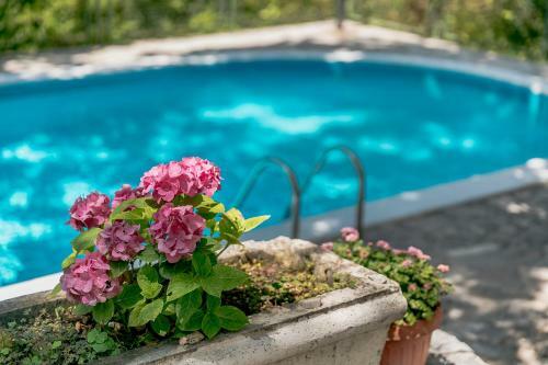 Apartments Miljan I Ranko