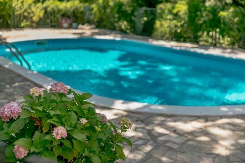 Apartments Miljan I Ranko