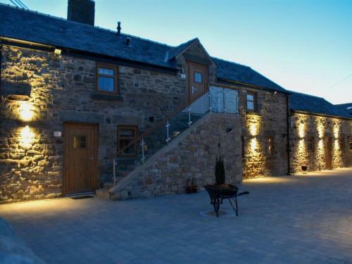 Barn Owl Cottage - Uk33172