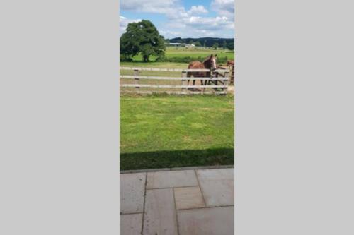 Agroturismo The Barn [mews}
