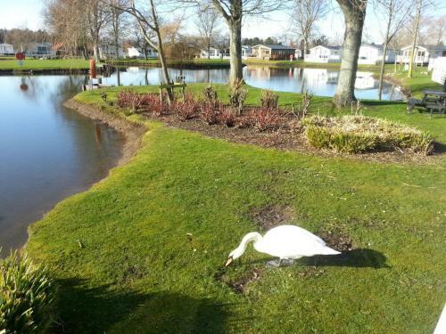 Aspen Retreat, Haggerston Castle