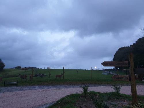 Luxury Safari Lodge Surrounded By Deer!! 'roe'