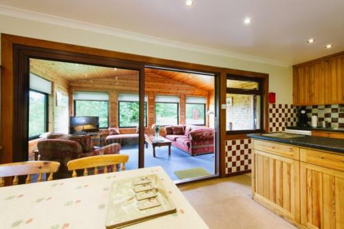 The Buzzard
