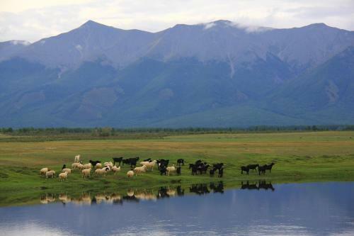 Hostal Mongolian Vision Tours Guesthouse