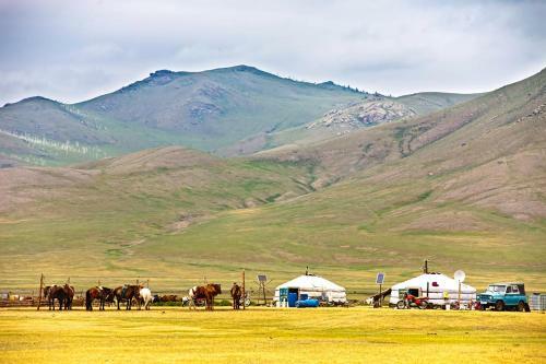 Hostal Mongolian Vision Tours Guesthouse