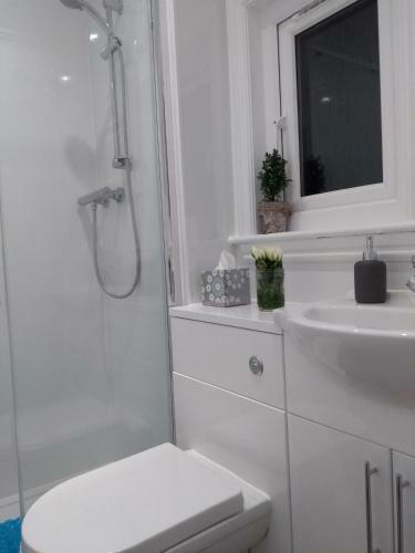 Ailsa New Luxury Lodge 15 Mins From The Beach