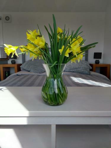 Ailsa New Luxury Lodge 15 Mins From The Beach