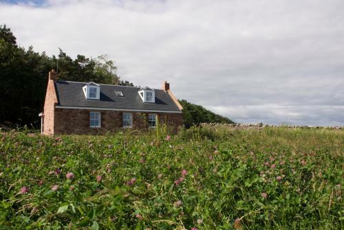 The Cottage