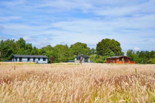 Lodge Linwater Holiday Park