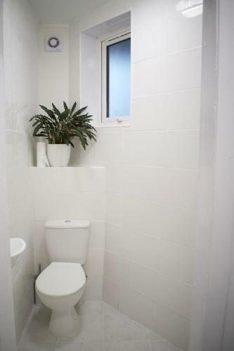 Apartamento Bright Comfortable Studio Apt In Leith