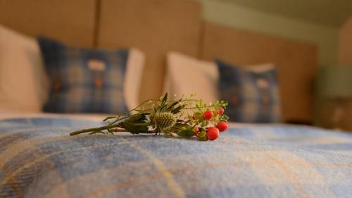 Hostal Torlinnhe Guest House