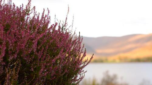 Hostal Torlinnhe Guest House