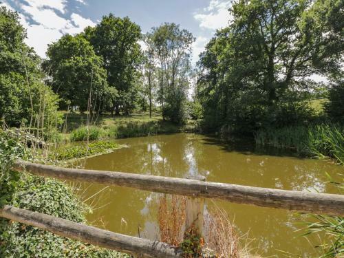Pond View