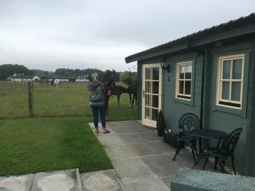 Auchenlea Lodges