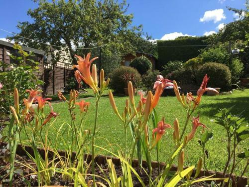 Beautiful 3-bed House In Glastonbury- Sleeps 10