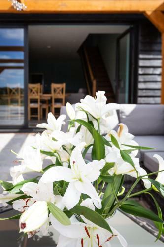 Apartamento Shepherds Rest Holidays Ltd