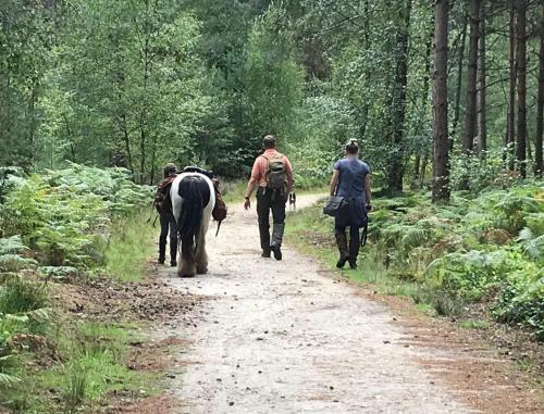 The Ancient Trails Company