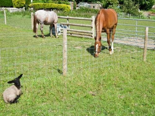 3 The Stables
