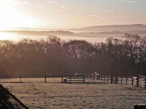 3 The Stables
