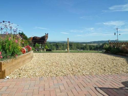3 The Stables