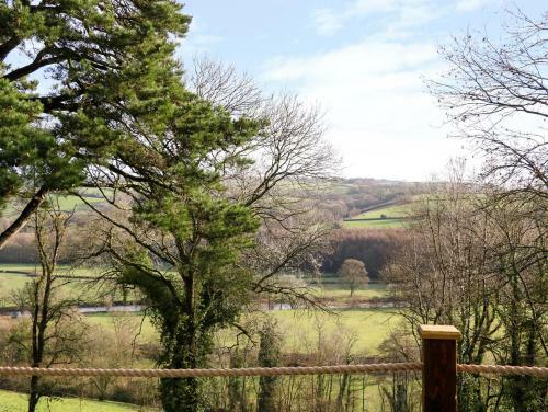 Little Silver Leaf, Umberleigh