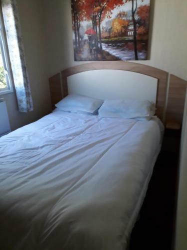 Immaculate 3-bedroom Caravan On Combe Haven