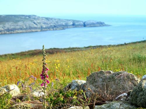 Ysbryd Y Mynydd