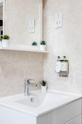 Open Luxury Contractor Apartment East London