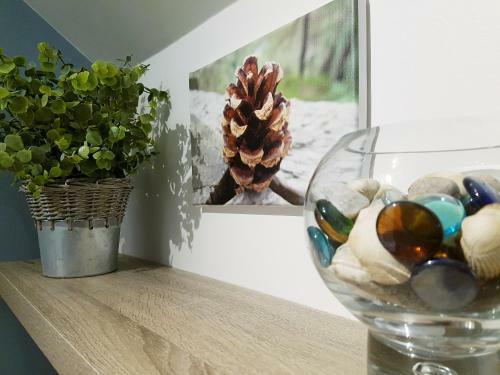 Apartamento Inverness City 2 Bedroom