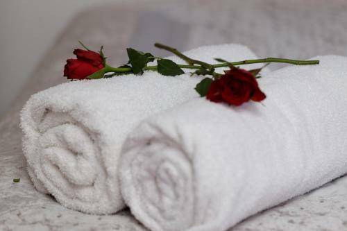 Clifton Bespoke Serviced Apartments
