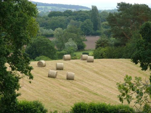 Bed & Breakfast The Larches Ledbury