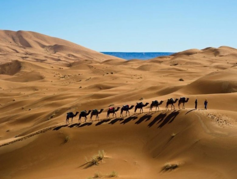 Morocco Camel Trek