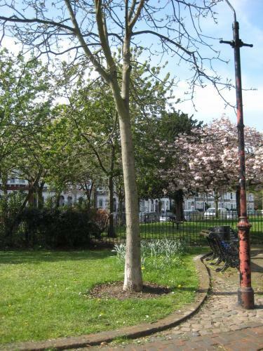 Holmewood Homestay
