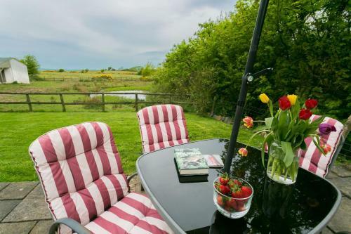 Hen Tyn Y Mynydd