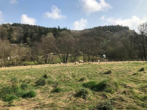 Yeovil Accomodation Business & Pleasure
