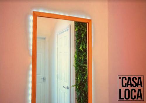 Apartamento Newcastle Jungle Retreat Hampton Gardens