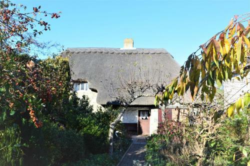 Ye Olde Cottage