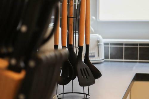 Queen Apartment