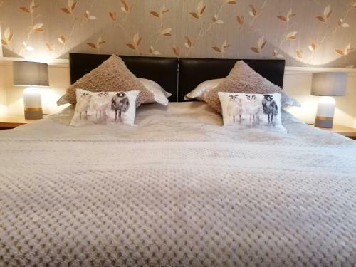 Ty Cambrian Studio Apartments