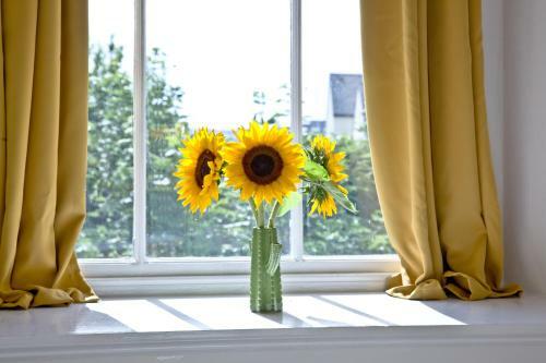 Apartamento Royal William Studio