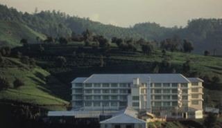 Hotel Tea Factory