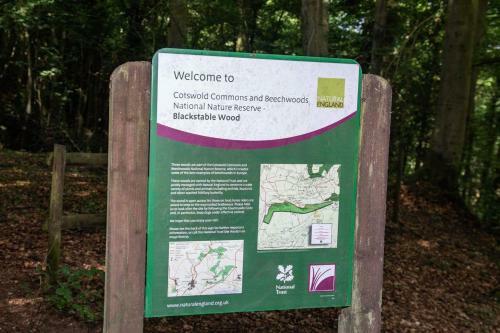 Lodge Cherry Tree Glamping